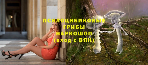 стаф Алексеевка