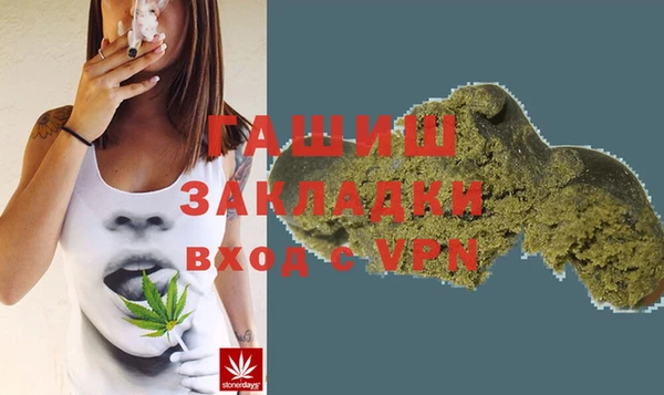 хмурый Алексин