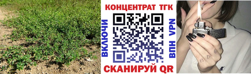 где можно купить   Цимлянск  ТГК гашишное масло 