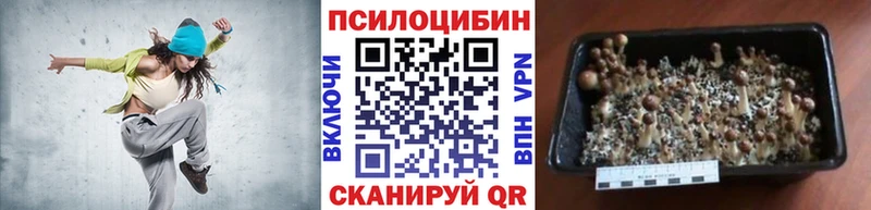 Галлюциногенные грибы Cubensis  Цимлянск 